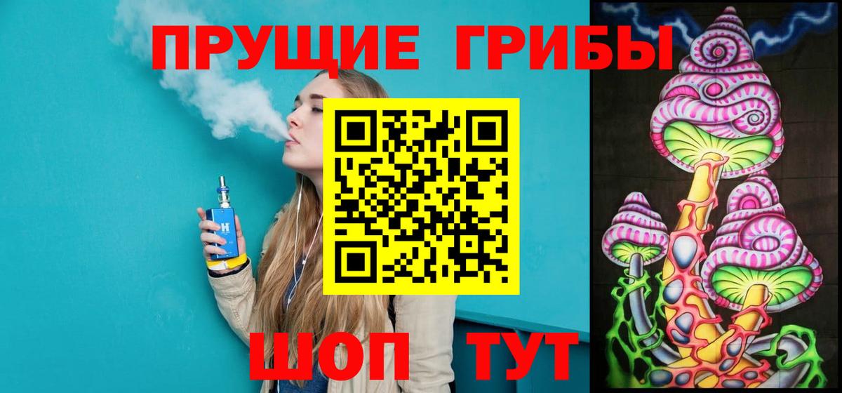 Новодвинск  Псилоцибиновые грибы GOLDEN TEACHER  где продают наркотики  Вход с VPN 