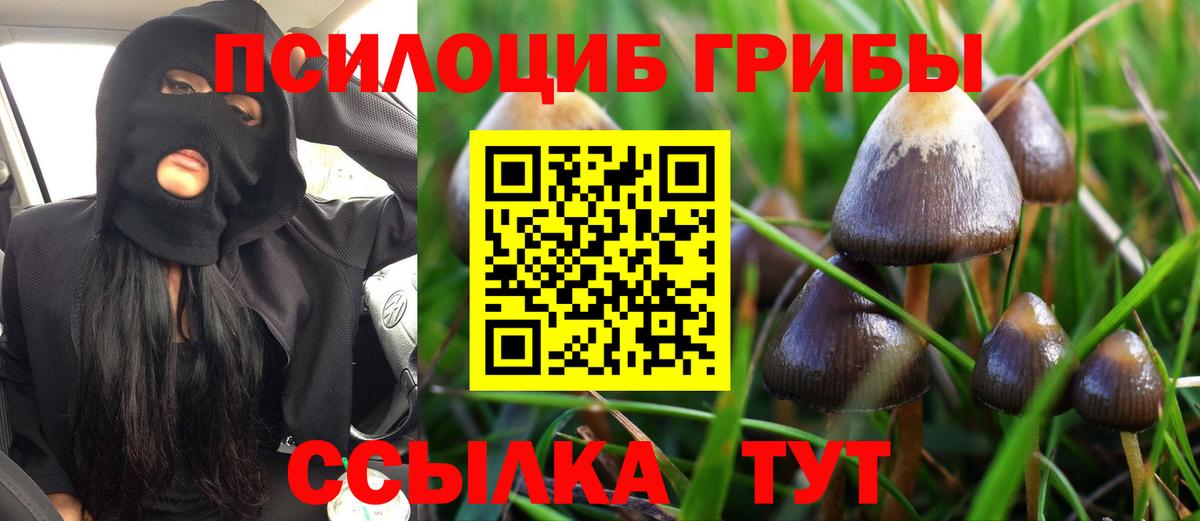 Псилоцибиновые грибы MAGIC MUSHROOMS Новодвинск